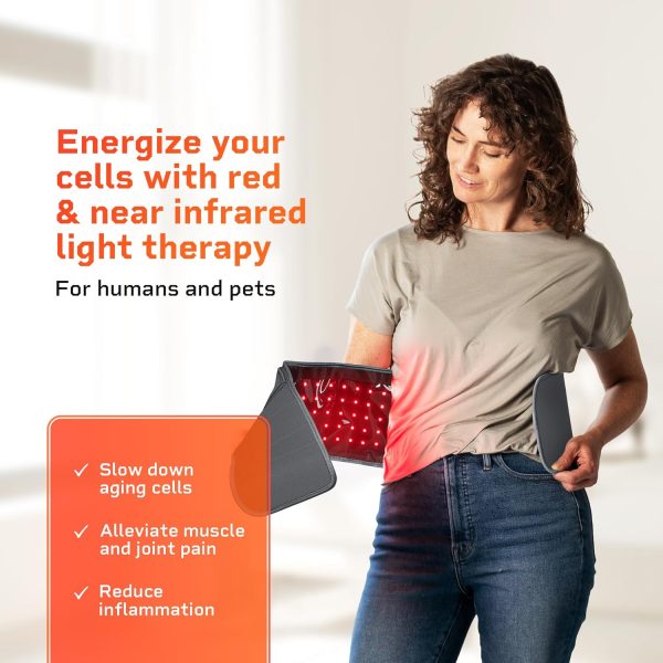 Lifepro Red Light Therapy Belt - Near Infrared Light Therapy & Red Light - Image 2
