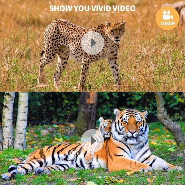 Trail Camera 2 Pack 30MP 1080P HD - Game Camera with 32GB SD Card, Fast - Image 5
