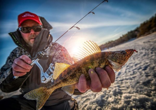 Shakespeare Ugly Stik GX2 Ice Fishing Reel & Rod Combo - Image 9