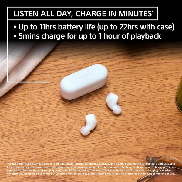Sony WF-C510 Truly Wireless in-Ear Bluetooth Earbud Headphones with up to - Image 3