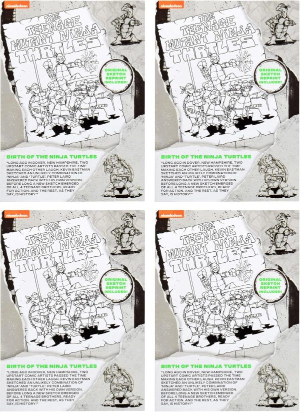 Teenage Mutant Ninja Turtles: Original Sketch Collector Figure with Comic - Image 6