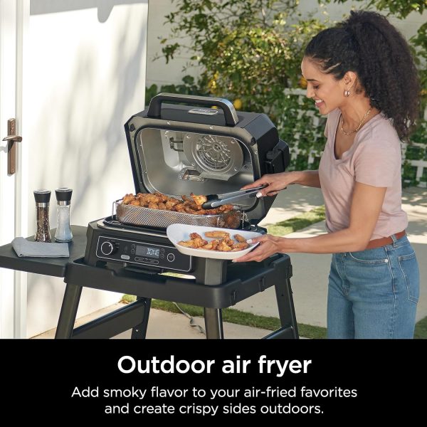 Ninja, Woodfire Pro XL Outdoor Grill & Smoker, Thermometer, 4-in-1 Master - Image 4