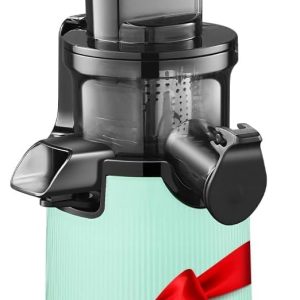 Aobosi Compact Small Mini Juicer Machines Space-Saving Slow Masticating
