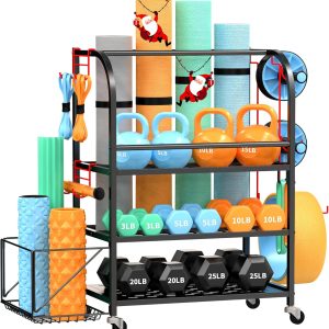 gym weights for home