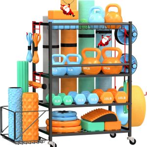 gym weights for home
