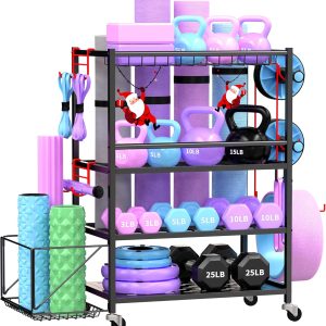 gym weights for home