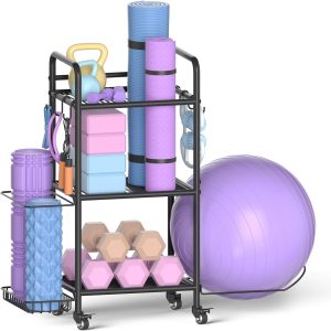 gym weights for home