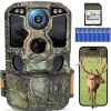 trail cameras