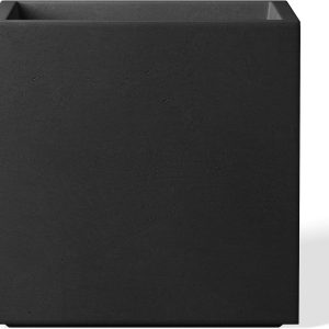 amazon exclusive items