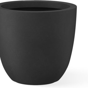 amazon exclusive items