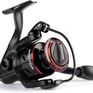 fishing reels
