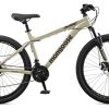 mountain bike