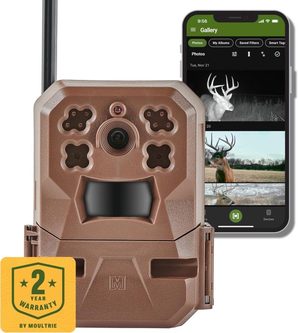 trail cameras