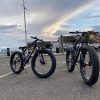 trek bikes