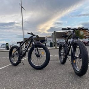 trek bikes