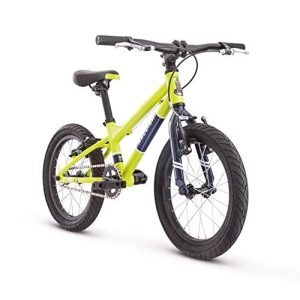 raleigh bikes