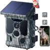 trail cameras