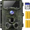 trail cameras