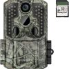 trail cameras
