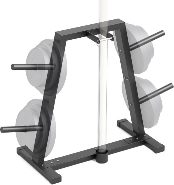 gym weights for home
