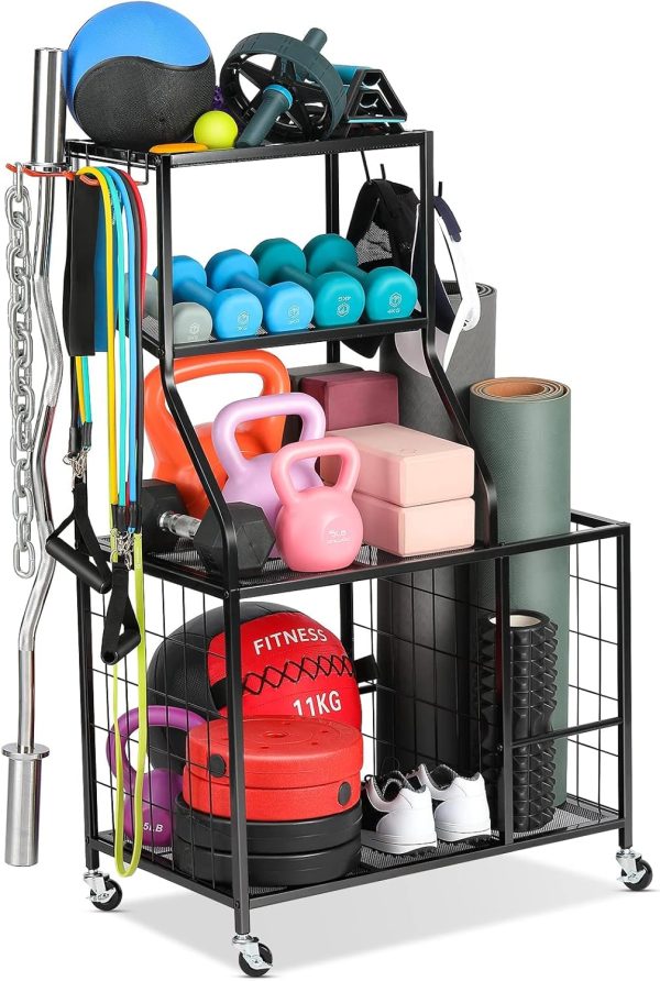 gym weights for home