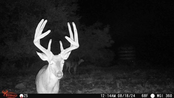 Wildgame Innovations Orbit 360 Degree Cellular Trail Camera - Image 8