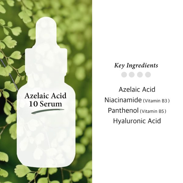 Azelaic Acid 10% Facial Serum with Niacinamide - Fast Rosacea Skin Care - Image 4