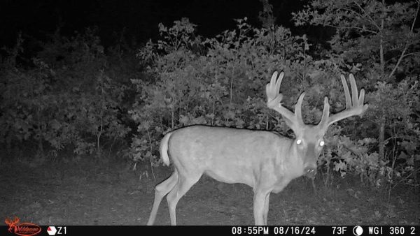 Wildgame Innovations Orbit 360 Degree Cellular Trail Camera - Image 10
