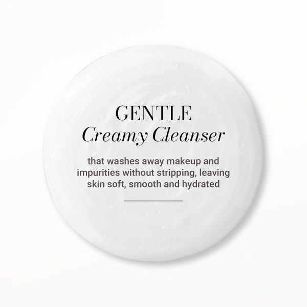 Meaningful Beauty Skin Softening Gentle Cleanser - Image 4