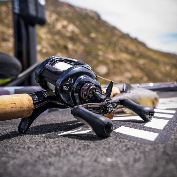 Daiwa BG2500 BG Saltwater Spinning Reel, 2500, 5.6: 1 Gear Ratio, 6+1 - Image 2