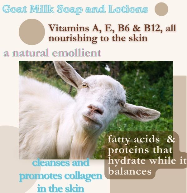 Goat Milk Hand & Body Lotion- BOGUE No.20 Palo Santo Blend Soothing & Skin - Image 3