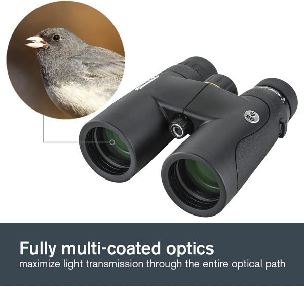 Celestron–Nature DX ED 8x42 Premium Binoculars –Extra-Low Dispersion - Image 3