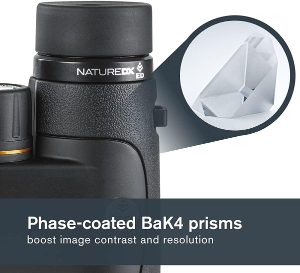 Celestron–Nature DX ED 8x42 Premium Binoculars –Extra-Low Dispersion - Image 5