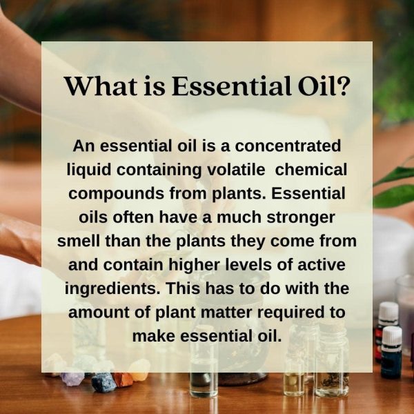 Pure Elemi Essential Oil (Canarium luzonicum) with Glass Dropper Steam - Image 4