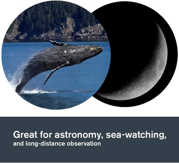 Celestron – SkyMaster 25X100 Binocular – Outdoor and Astronomy Binoculars – - Image 5