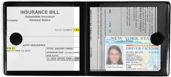 UYYE Auto Essential, Registration and Insurance Holder2-Pack, Interior - Image 4