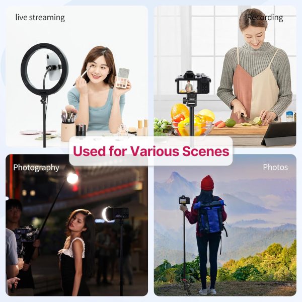 VIJIM MT-79 Extendable Photography Light Stand, 81" Portable Adjustable - Image 6