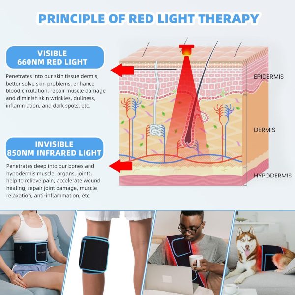 Red Light Therapy Infrared Light Therapy Wrap Belt for Body Pain Relief - Image 3