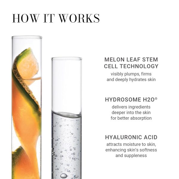 Meaningful Beauty Youth Activating Melon Serum - Image 5
