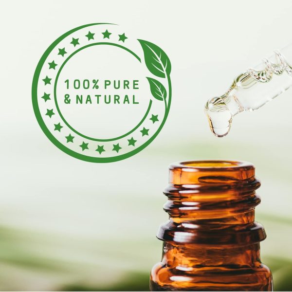 Mystic Moments | Elemi Essential Oil - 50ml - 100% Pure - Image 4