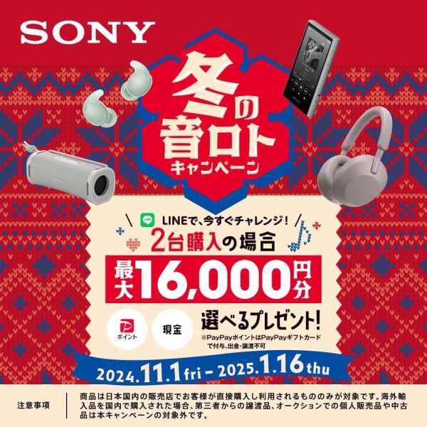 Sony WH-CH720NB Noise Canceling Wireless Bluetooth Headphones - Built-in - Image 2