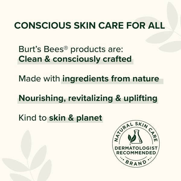 Burt's Bees Christmas Gifts, 5 Stocking Stuffers Products, Everyday - Image 9