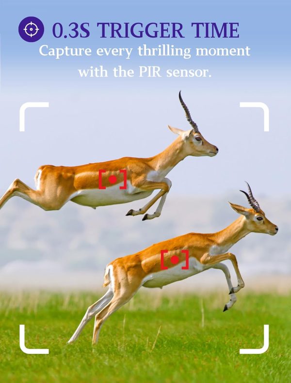 BLAZEVIDEO 2-Pack Game & Trail Camera 48MP 1296P MP4 Video No Glow Night - Image 3