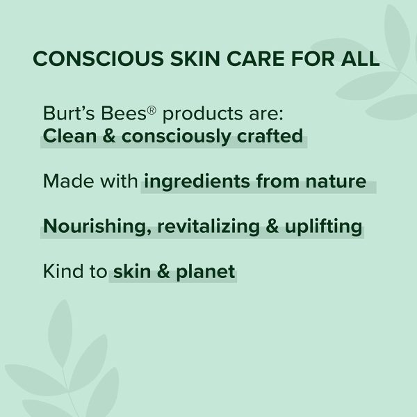 Burt's Bees Christmas Gifts, 5 Stocking Stuffers Products, Everyday - Image 13