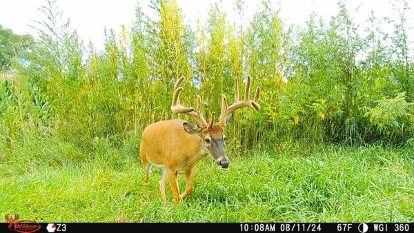 Wildgame Innovations Orbit 360 Degree Cellular Trail Camera - Image 7