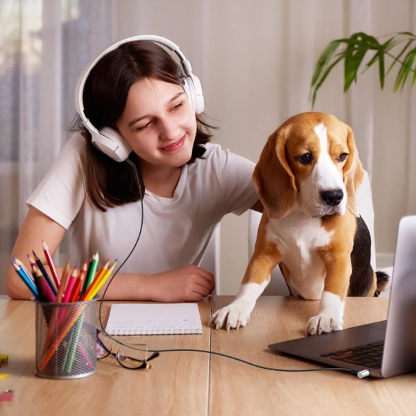 3.5mm to 2.5mm Headphone Stereo Audio Cable Cord Compatible with Bowers & - Image 5