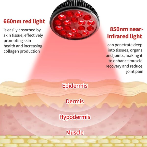 Red Light Therapy Lamp with Adjustable Stand, Red Light Therapy Bulb for - Image 2