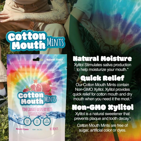 Nature's Stance Xylitol Mints for Cotton Mouth Relief, Dry Mouth Lozenges - Image 2