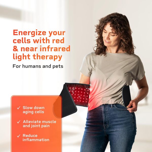 Lifepro Red Light Therapy Belt - Near Infrared Light Therapy & Red Light - Image 2