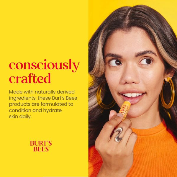 Burt's Bees Christmas Gifts, 5 Stocking Stuffers Products, Everyday - Image 5